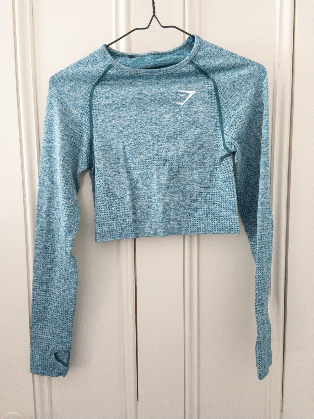Gymshark Teal Blue Seamless Long-Sleeve Crop Top